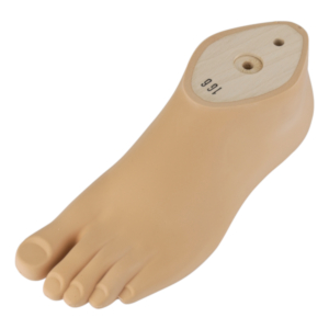 Cosmetic Light Foot with Toes