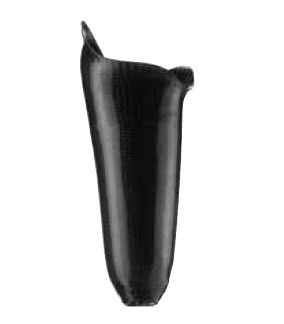 definitive socket. definitive socket.