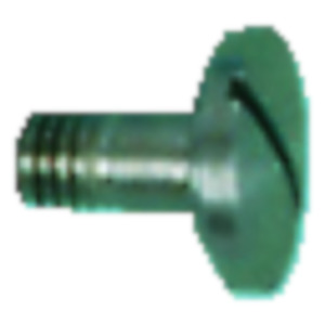 Shoulder screw