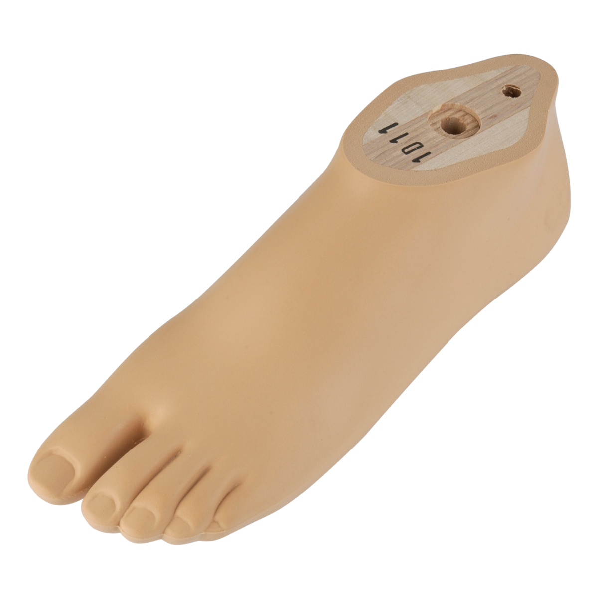 Dynamic Foot Women 20mm Toes | Feet - Mechanical | Lower Limb ...