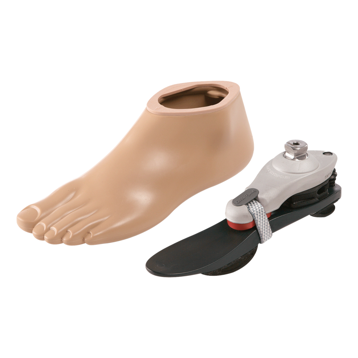 1M10 Adjust incl Footshell Prosthetics | Lower Feet Shop US Ottobock Prosthetics - | Limb | | Mechanical