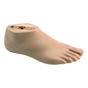 Foot for water resistant prosthesis | Feet - Mechanical | Lower Limb ...