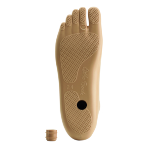 Foot for water resistant prosthesis | Feet - Mechanical | Lower Limb ...