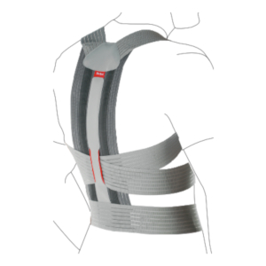 ottobock Back Support TLSO – PrimePro Medical