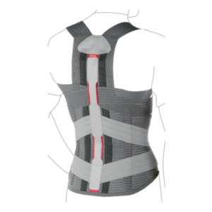 Sports Back Support, Supports and orthoses