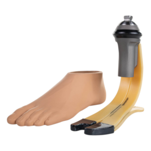 Prosthetic Feet